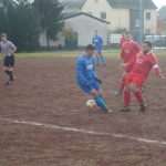 crogri1 10