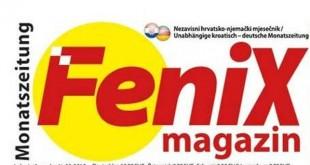 fenix logo