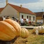 12. Jesenski festival u Tovarniku: Očekuju se gosti i iz Njemačke