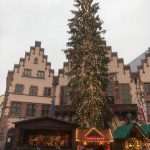 BOŽIĆNI SAJAM U FRANKFURTU: Na Römerbergu postavljeno božićno stablo visoko 31 metar, teško 4 tone i staro 80 godina