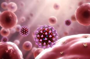 koronavirus