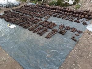 Iz Jazovke ekshumirani posmrtni ostaci najmanje 814 osoba / Foto: Hina