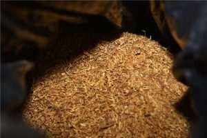 TIČE SE SVIH PUŠAČA I NEPUŠAČA: Evo što je sve donijelo pooštravanje zakona o pušenju u 2025. u Francuskoj, Italiji, Belgiji, Meksiku, Maldivima …  