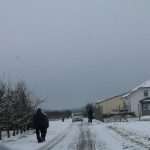 (FOTO) Stanovnici Mainza i okolice su uživali u snježnim radostima