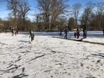 bad homburg smrznuto jezero u kurparku 31