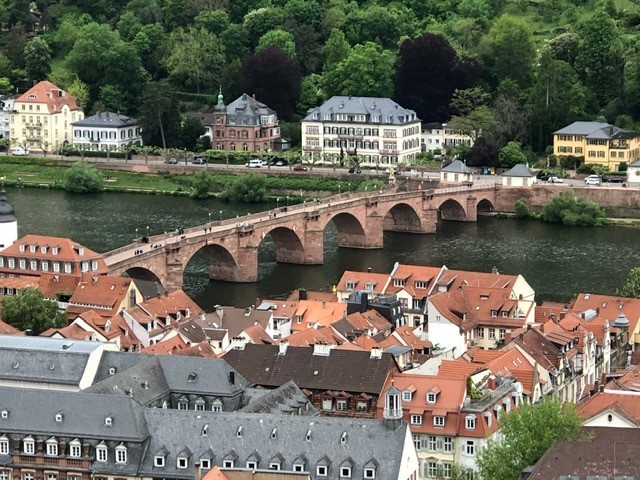 Heidelberg Fenix