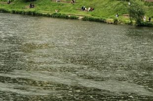 rijeka Neckar Heidelberg