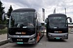 Livno Bus 4