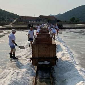 (FOTO I VIDEO) SPASILI 60 TONA SOLI: Rukometaši RKHM Dubrovnik odazvali se pozivu iz Stona za berbu soli