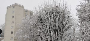 snijeg Traunreut 4