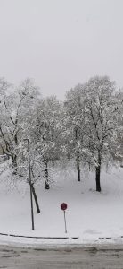 snijeg Traunreut 5