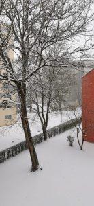 snijeg Traunreut 3