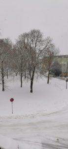 snijeg Traunreut 7