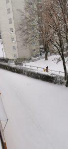 snijeg Traunreut 8