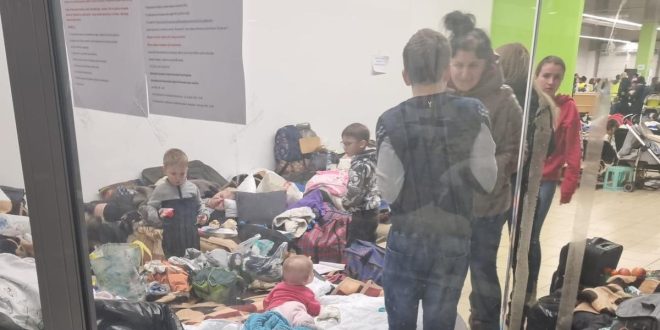 izbjeglice iz ukrajine, niko kalaica