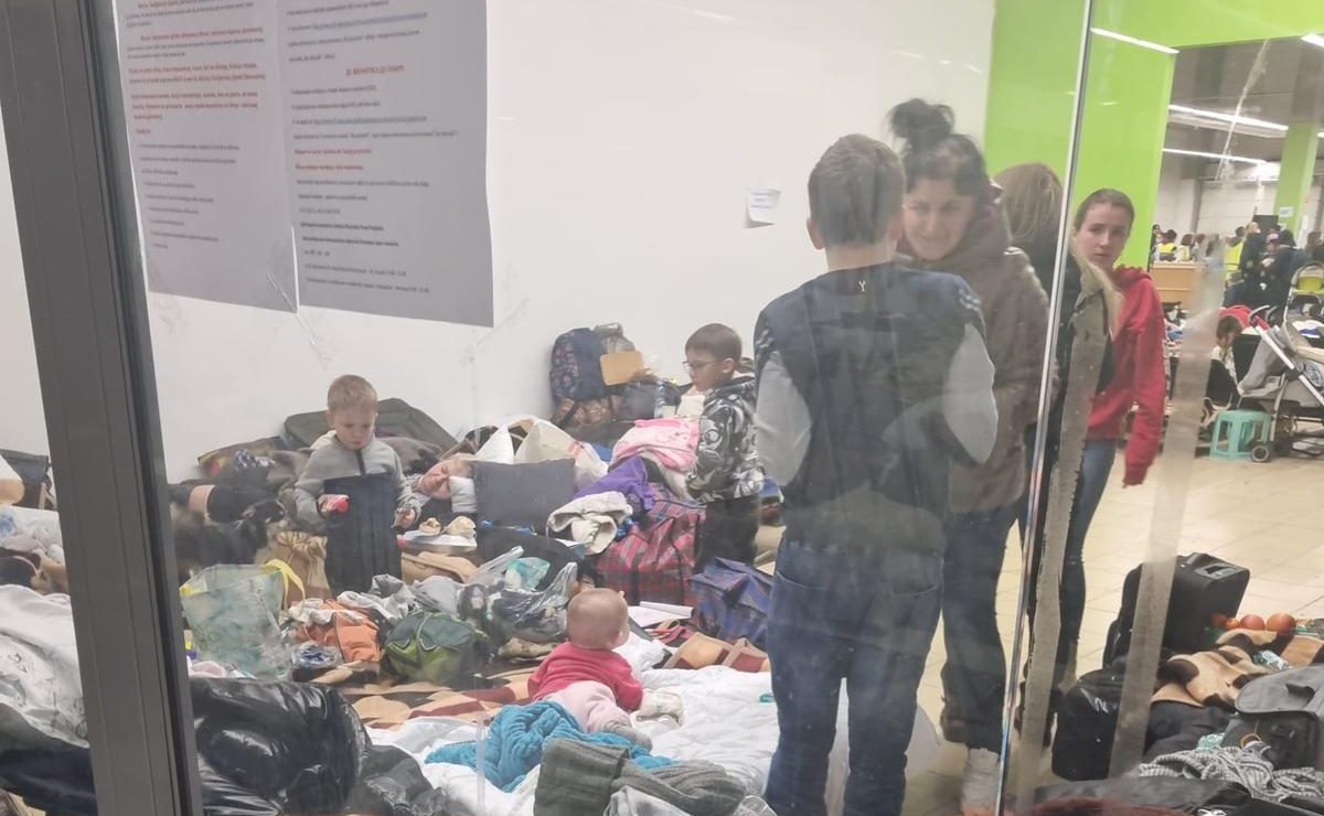 izbjeglice iz ukrajine, niko kalaica