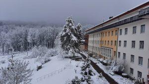Odenwald snijeg1