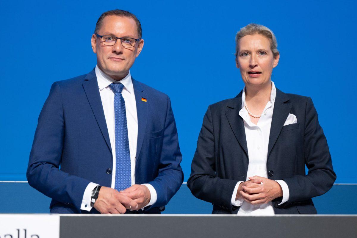 Tino Chrupalla i Alice Weidel