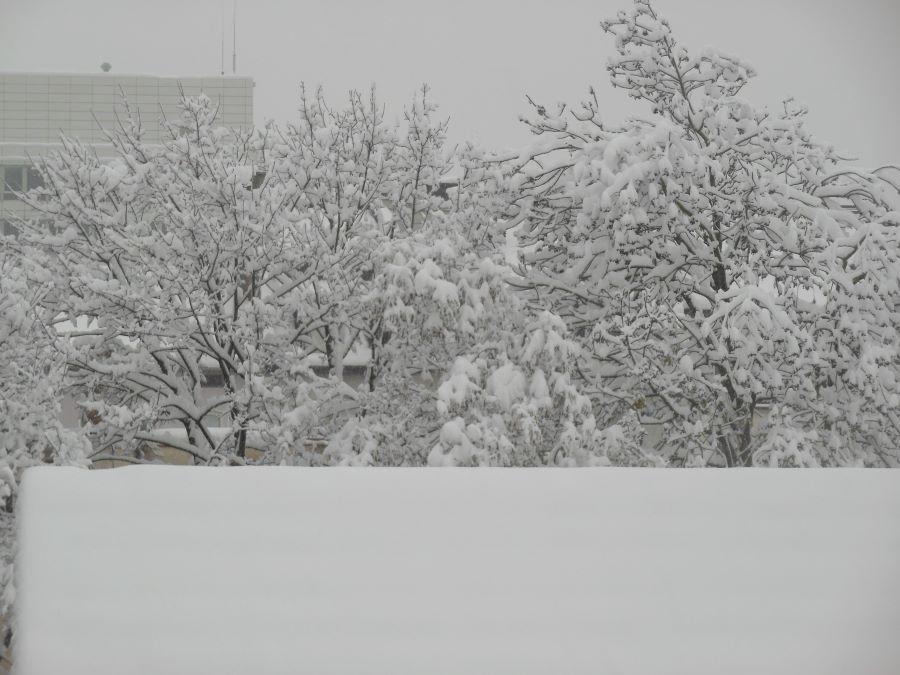 snijeg munchen 13
