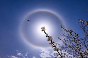 Ledeni prsten oko sunca / Foto: Anadolu