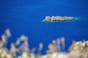 Mljet / Foto: Fenix (Dejan Ban)