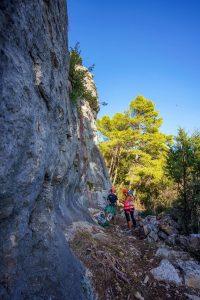 Mljet / Foto: Fenix (Dejan Ban)