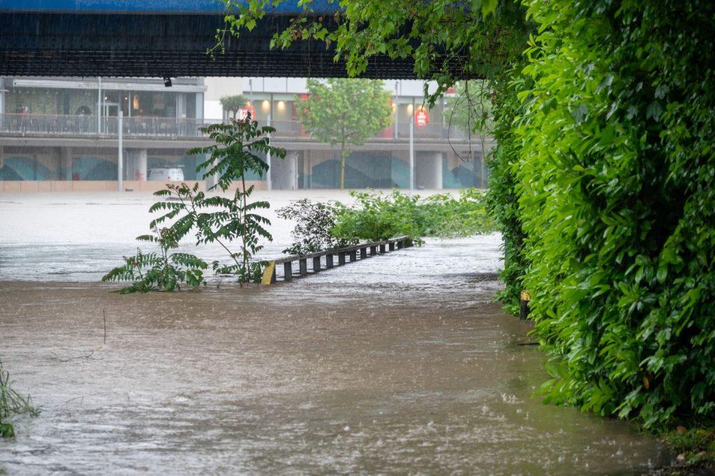 Katastrofalne poplave u Saarlandu na jugozapadu Njemačke / Foto: Harald Tittel/dpa