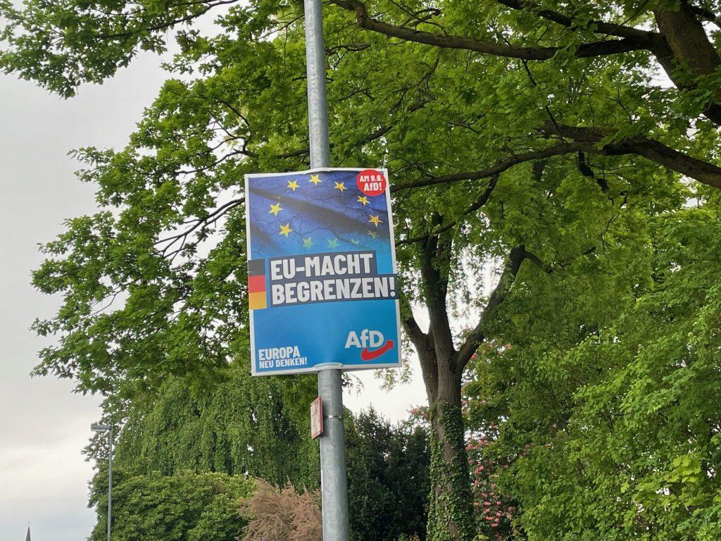 Plakat AfD-a