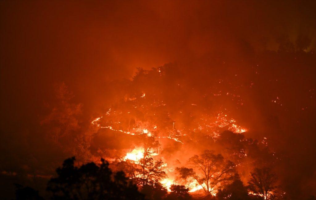 Šumski požar se širi sjevernom Kalifornijom, a do sada je evakuirano 13.000 ljudi / Foto: Anadolu