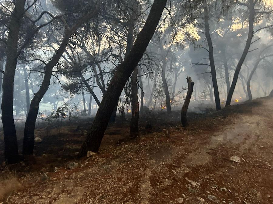 Požar kod Trogira / Foto: Hins