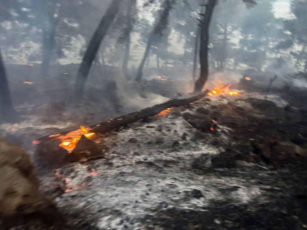 Požar kod Trogira / Foto: Hina