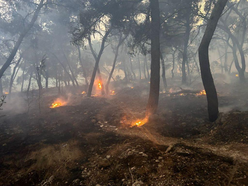 Požar kod Trogira / Foto: Hina