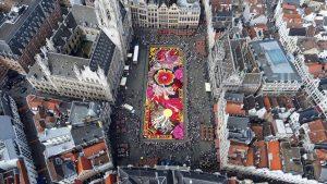 Cvjetni tepih u Bruxellesu / Foto: Anadolu