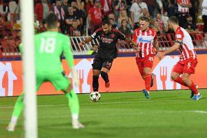 Crvena Zvezda-Benfica / Foto: Anadolu