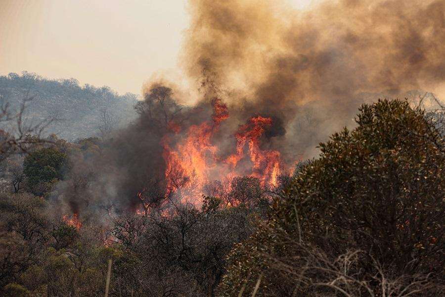Požar / Foto: Anadolu