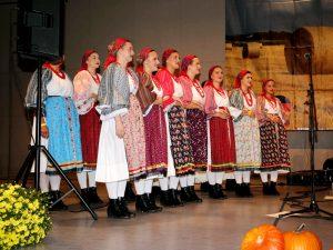 Slavonska večer u Gerlingenu kod Stuttgarta / Foto: Fenix (Željko Cindrić)