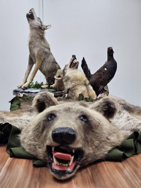 Roba pronađena kod vozača /Foto: Carina