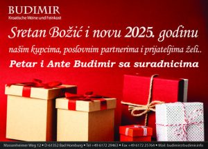 Budimir 2025