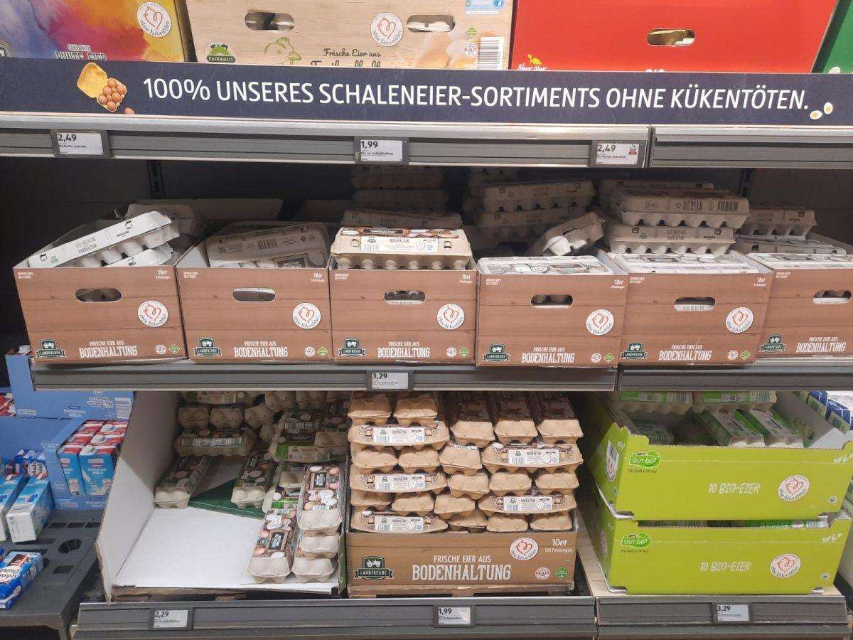 Cijene jaja u trgovini Aldi/ Foto: Fenix (MD)
