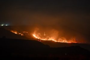 Novi požar kod Los Angelesa / Foto: Anadolu