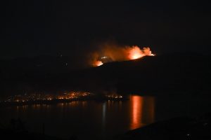 Novi požar kod Los Angelesa / Foto: Anadolu