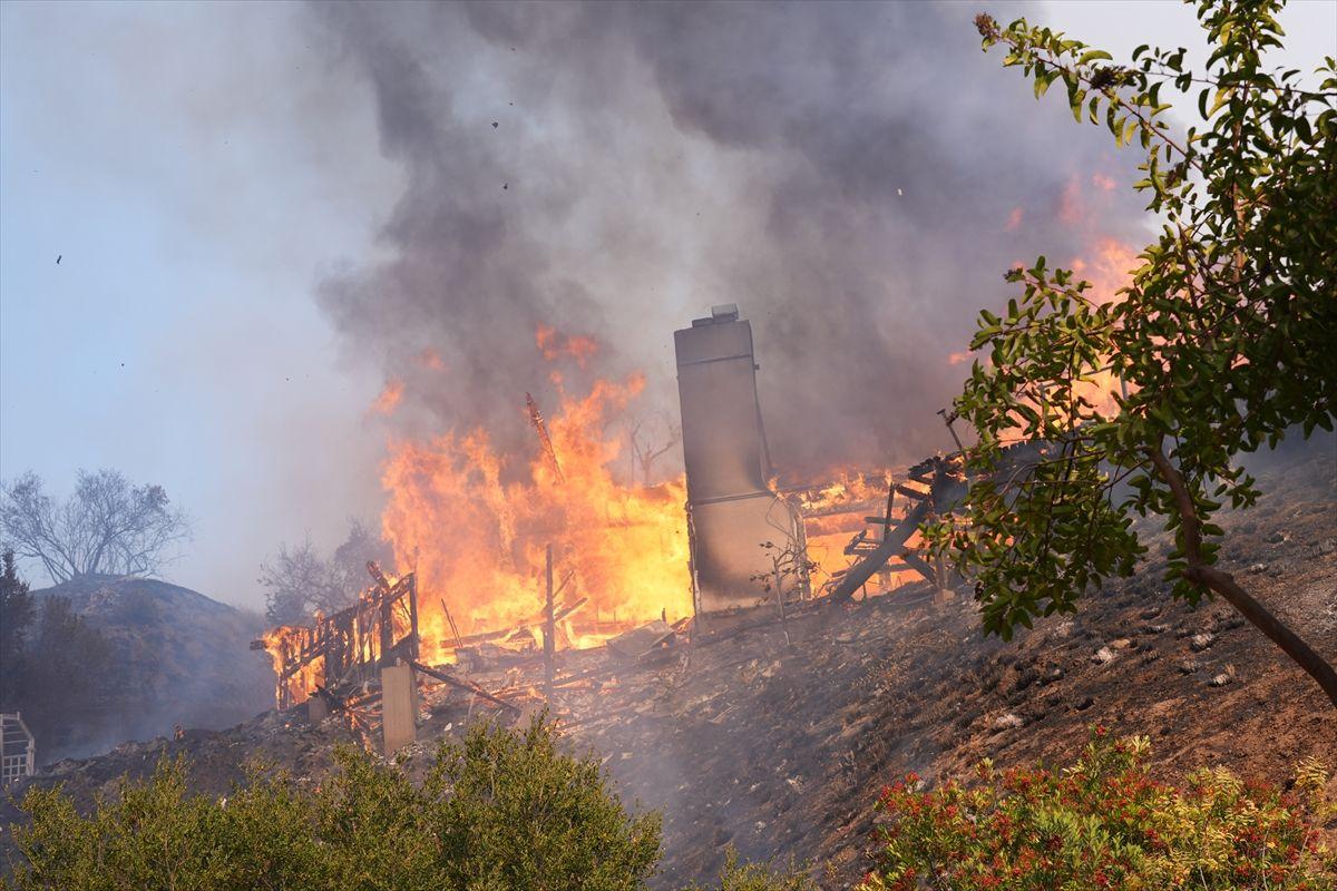 Požar u Los Angelesu / Foto: Anadolu