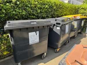 Kanta za smeće (ILUSTRACIJA)/Foto: Fenix (D.P.)