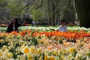 „NAJLJEPŠI VRT TULIPANA NA SVIJETU“: Nizozemski Keukenhof po 76. put otvorio vrata za posjetitelje  