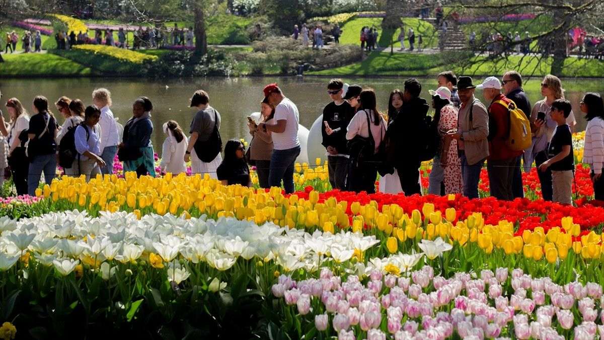 „NAJLJEPŠI VRT TULIPANA NA SVIJETU“: Nizozemski Keukenhof po 76. put otvorio vrata za posjetitelje „NAJLJEPŠI VRT TULIPANA NA SVIJETU“: Nizozemski Keukenhof po 76. put otvorio vrata za posjetitelje