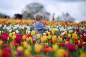 Dječak / Foto: Anadolu