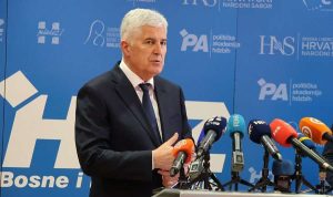 Dragan Čović / Foto: Hina / Fena