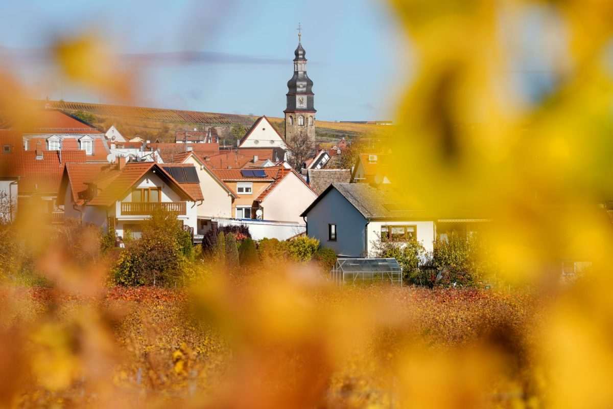 Kalstadt (ILUSTRACIJA) / Foto: Uwe Anspach/dpa