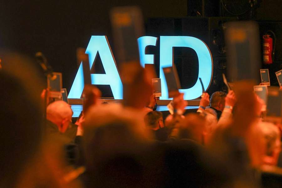 AfD / Foto: Peter Gercke/dpa-Zentralbild/dpa