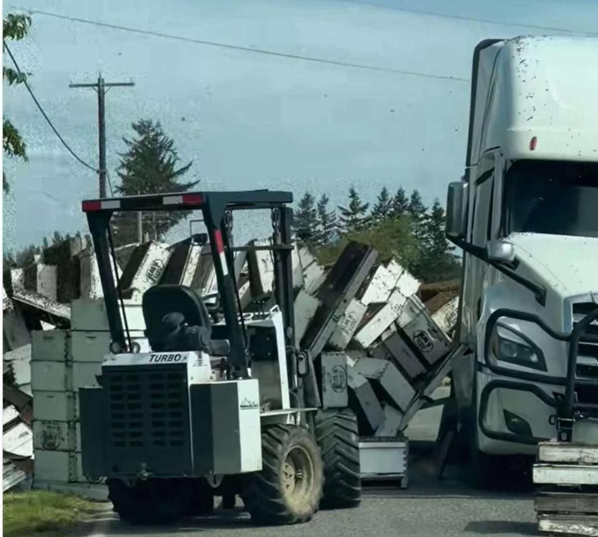 Kamion koji je prevozio pčele / Facebook/Whatcom County Sheriff's Office